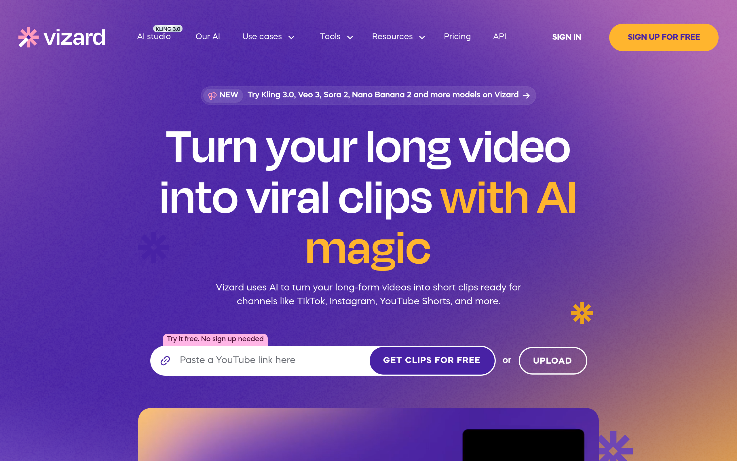 Vizard
